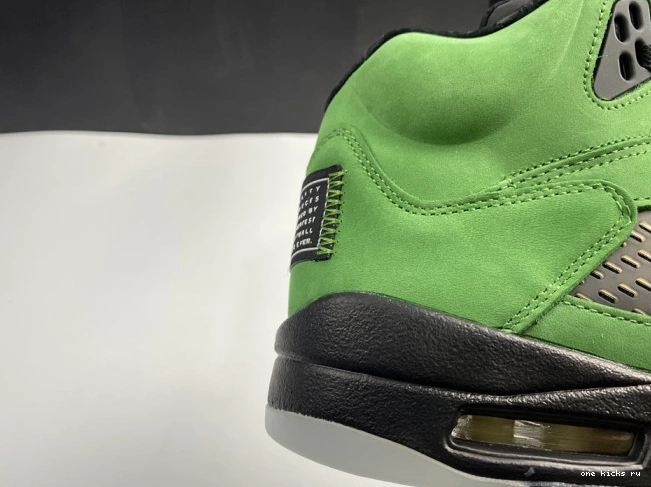 Chep Onekick SE Jordan Air Ducks Oregon 5 CK6631-307 0531